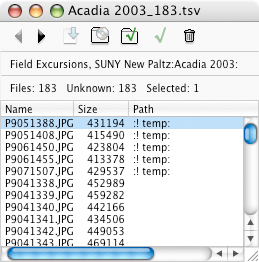 File Window