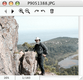 File Window